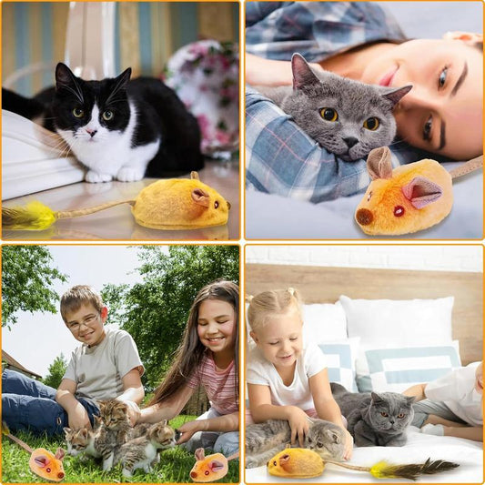 Interactive Cat Toy Mouse
