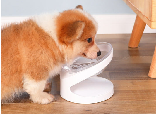 Pet Diagonal Shaped Bowl