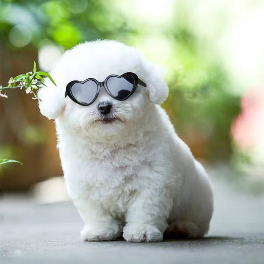 Pet Sunglasses Toy Accessories