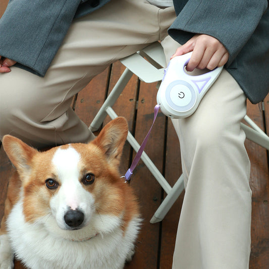 Retractable Leash And Dog Collar Spotlight Automatic