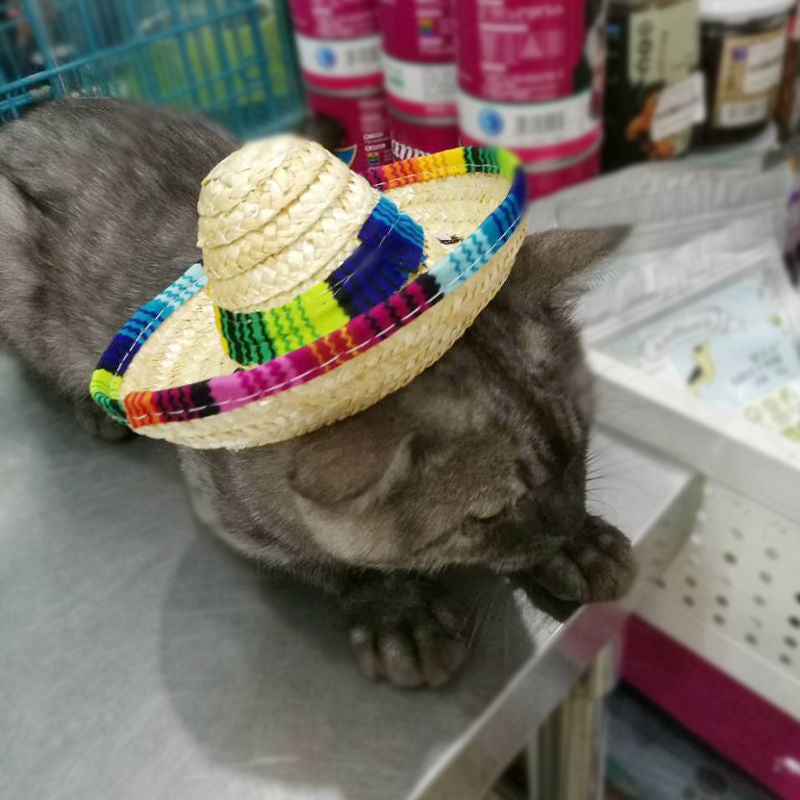 Pet Mexican Straw Hat