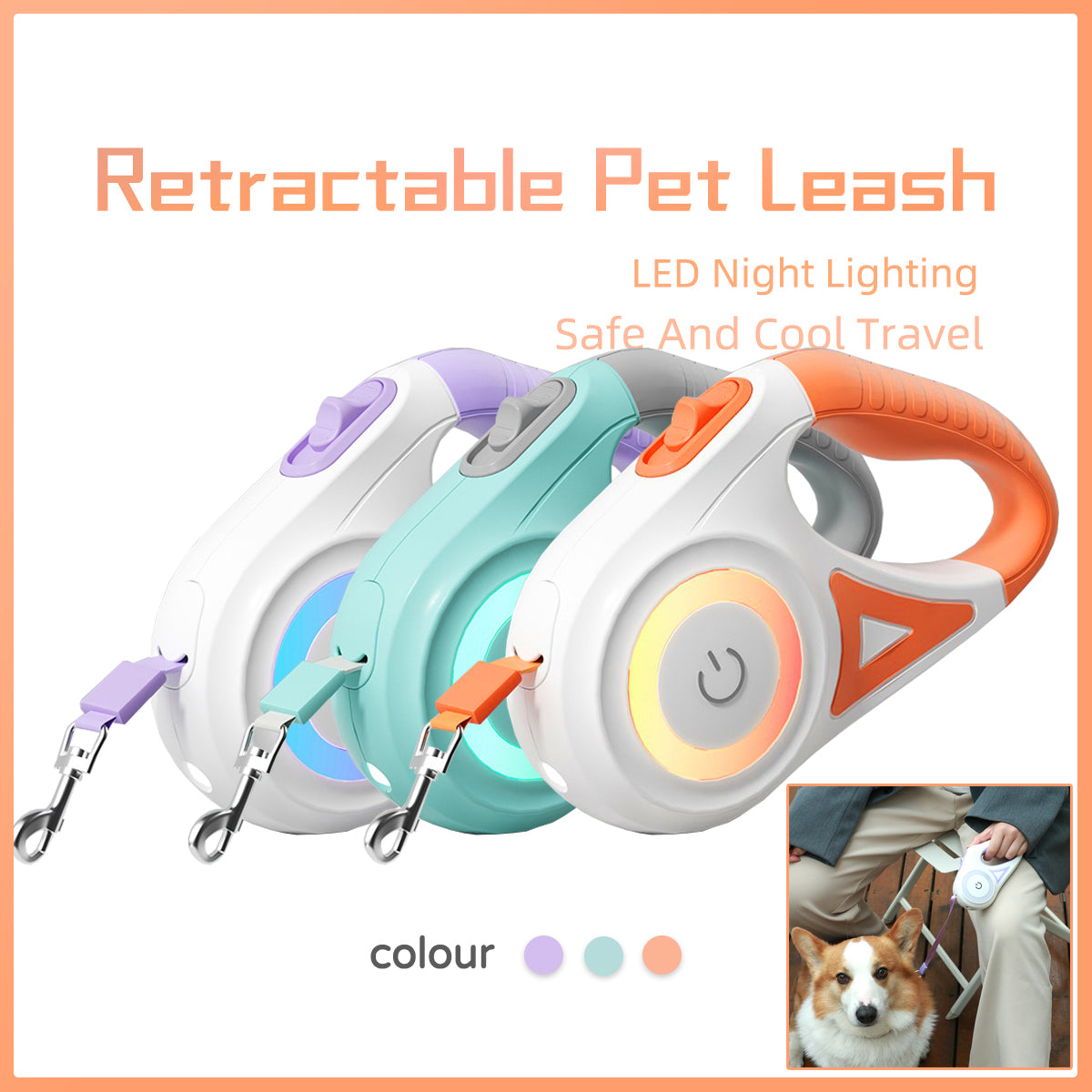 Retractable Leash And Dog Collar Spotlight Automatic