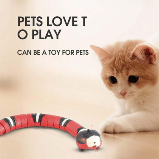 Electric Induction Snake Cat Toy