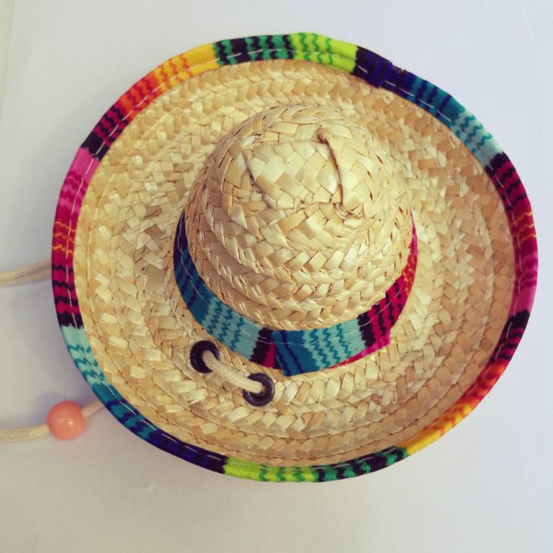 Pet Mexican Straw Hat
