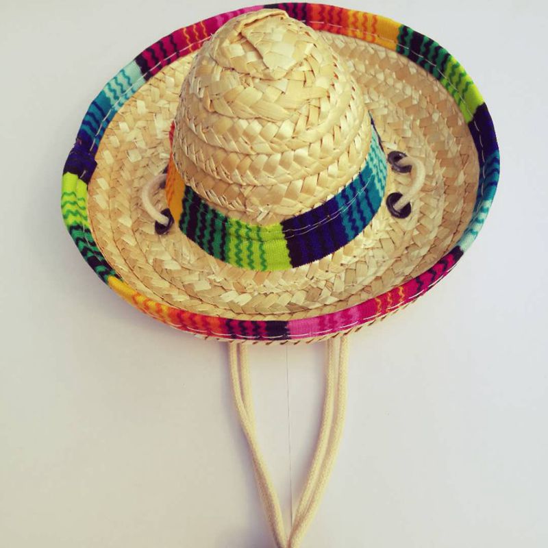 Pet Mexican Straw Hat