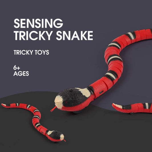 Electric Induction Snake Cat Toy