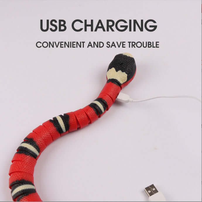 Electric Induction Snake Cat Toy