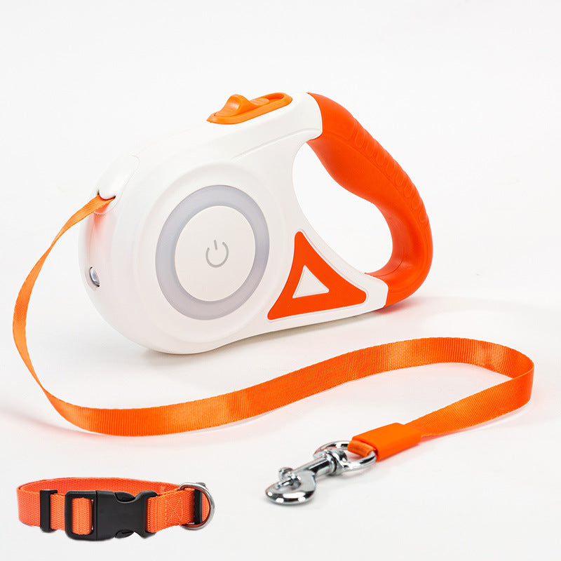 Retractable Leash And Dog Collar Spotlight Automatic