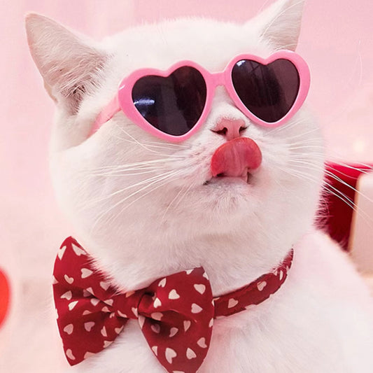 Pet Sunglasses Toy Accessories
